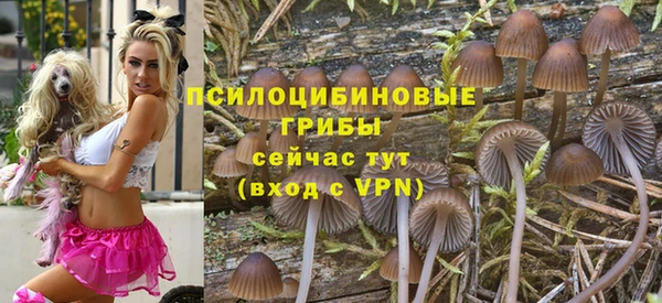 мяу мяу мука Алексеевка