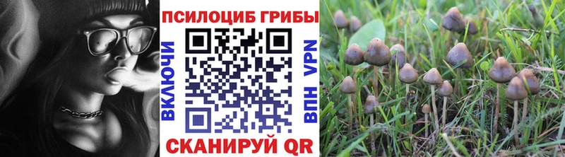 Псилоцибиновые грибы Magic Shrooms Нововоронеж